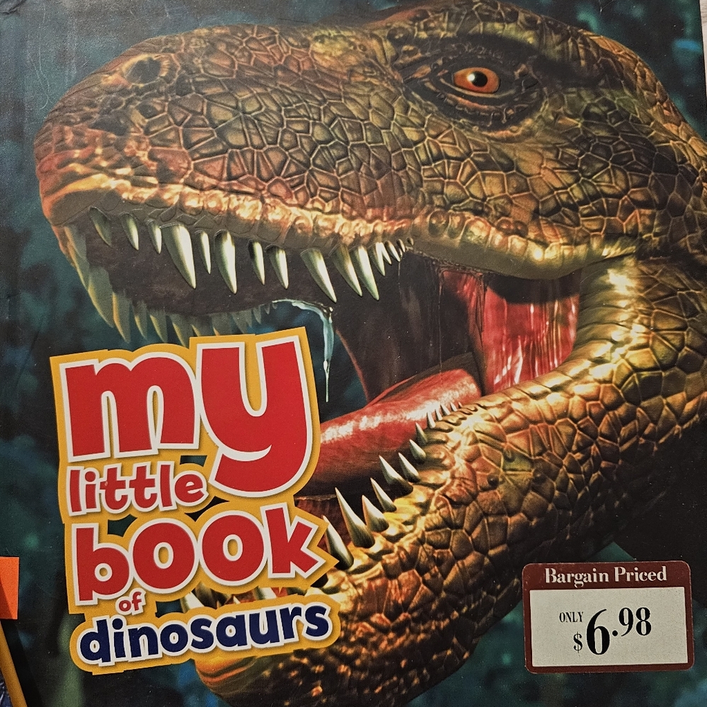 My Little Book Set - Weather, Ocean, Dinosaurs And Volcanos - Picture 2 of 9